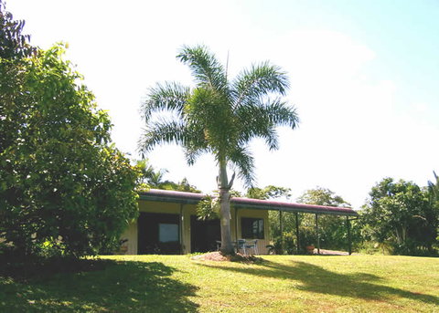 Daintree Mountain View Retreat And Vanilla Beans - Palm Beach Accommodation 0