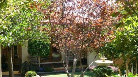 Akame - Palm Beach Accommodation 0