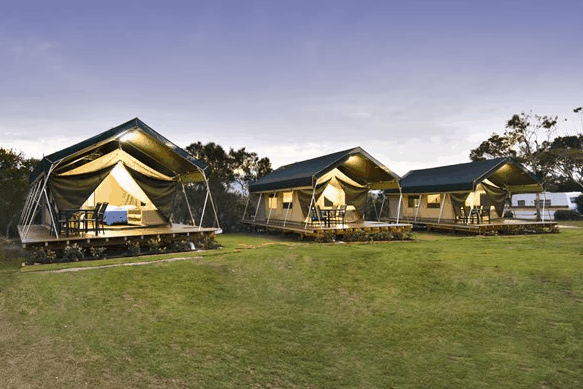 Hastings Point Holiday Park - Palm Beach Accommodation