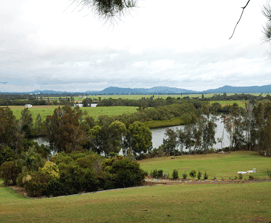 Bimbimbi Riverside Caravan Park - Palm Beach Accommodation