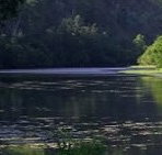 Clarence River Wilderness Lodge - Palm Beach Accommodation