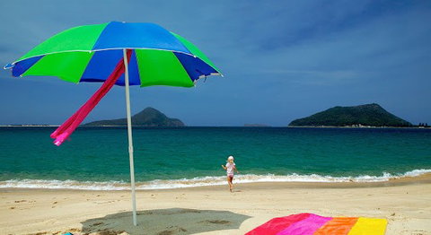 Shoal Bay Holiday Park - Port Stephens - Palm Beach Accommodation 1