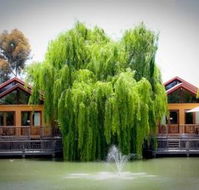 Perricoota Vines Retreat - Palm Beach Accommodation