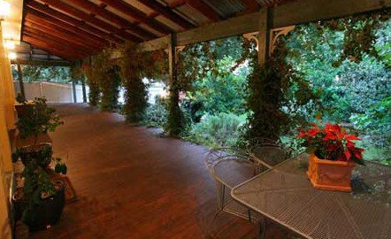 Ms. - Palm Beach Accommodation 0