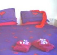 Aloomba Lavender - Accommodation - Palm Beach Accommodation