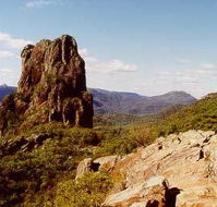 Castlereagh Village Holiday Units - Palm Beach Accommodation