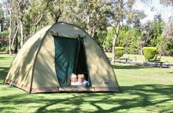 BIG4 Bathurst Panorama Holiday Park - Palm Beach Accommodation 4