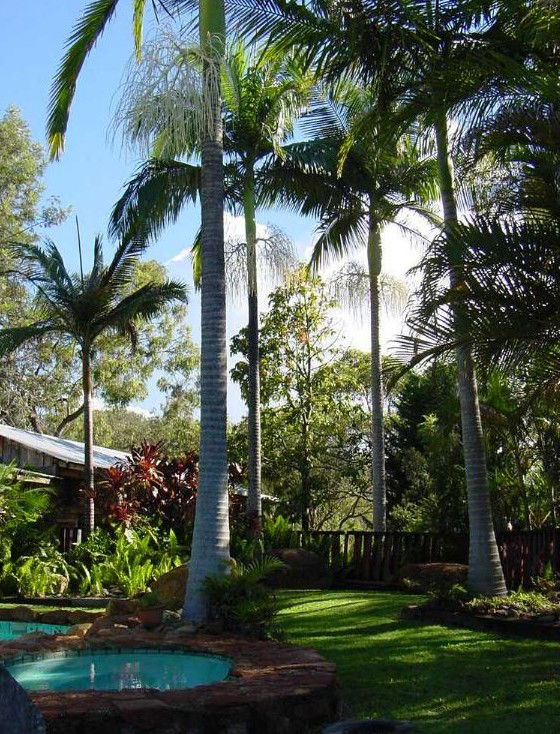 Hidden Valley QLD Palm Beach Accommodation