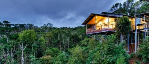 OReillys Mountain Villas - Palm Beach Accommodation 1