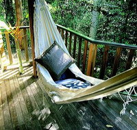 Narrows Escape Rainforest Retreat - Palm Beach Accommodation