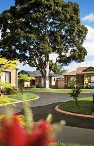 Apartments @ Forest Hill - Palm Beach Accommodation 4