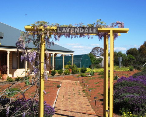 Lavendale Farmstay And Cottages - Palm Beach Accommodation 0