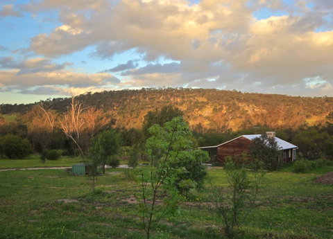 Lavendale Farmstay And Cottages - Palm Beach Accommodation 4