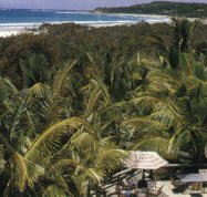 Anchorage Village Beach Resort - Palm Beach Accommodation