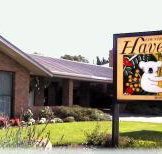 Begonia City Motor Inn - Palm Beach Accommodation