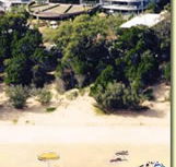 Riviera Resort - Palm Beach Accommodation