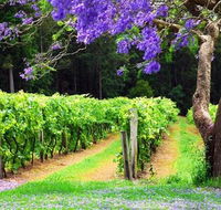 Bago Vineyards - Palm Beach Accommodation