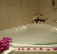 Swan Valley Oasis Resort - Palm Beach Accommodation