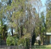 Nimbin Backpackers at Grannys Farm - Palm Beach Accommodation
