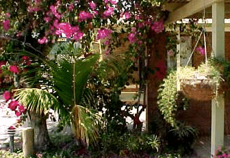 Denham Villas - Palm Beach Accommodation