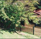 Apple Tree Cottage - Palm Beach Accommodation