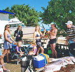 Shark Bay Cottages - Palm Beach Accommodation