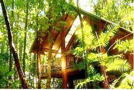  Palm Beach Accommodation