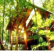 The Canopy Treehouses - Palm Beach Accommodation