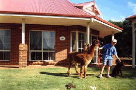  Palm Beach Accommodation