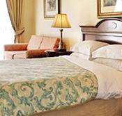 Canterbury International Hotel - Palm Beach Accommodation