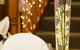 Country Comfort Premier Motel - thumb 4