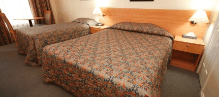 Best Western Coachman's Inn Motel - Palm Beach Accommodation 4