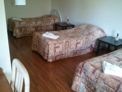Beaconsfield Lodge Motel - Palm Beach Accommodation 2