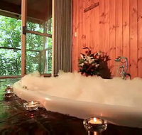 Tree Houses Of Montville - Palm Beach Accommodation