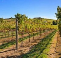 DeVine Escape - Palm Beach Accommodation