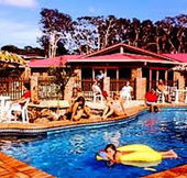 Wombat Beach Resort - Palm Beach Accommodation