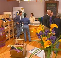 Settlers Ridge Organic Wines - Palm Beach Accommodation