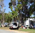 Elliston Caravan Park - Palm Beach Accommodation