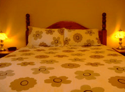  Palm Beach Accommodation