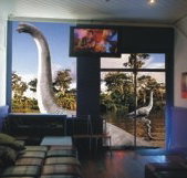 Chiliblue Backpackers - Palm Beach Accommodation