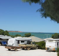 Blue Dolphin Caravan Park and Holiday Village - Palm Beach Accommodation