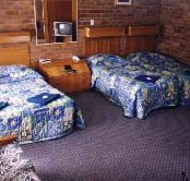 Border Motel - Palm Beach Accommodation