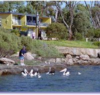Almonta Holiday Apartments - Palm Beach Accommodation