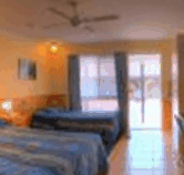 Best Western Twin Towns Motel - Palm Beach Accommodation