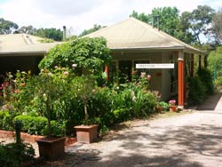 Treetops Bed And Breakfast - Palm Beach Accommodation 0