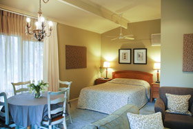 Treetops Bed And Breakfast - Palm Beach Accommodation 1