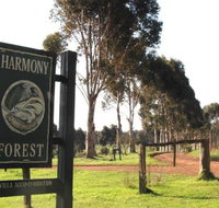 Harmony Forest - Palm Beach Accommodation