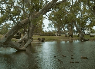 Bordertown Abode Parkland Motel - Palm Beach Accommodation 2