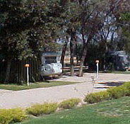 Paringa Caravan Park - Palm Beach Accommodation