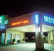 Sun Palms Hotel Motel - Palm Beach Accommodation